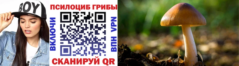 Купить  Елизаветинская  Псилоцибиновые грибы мухоморы 